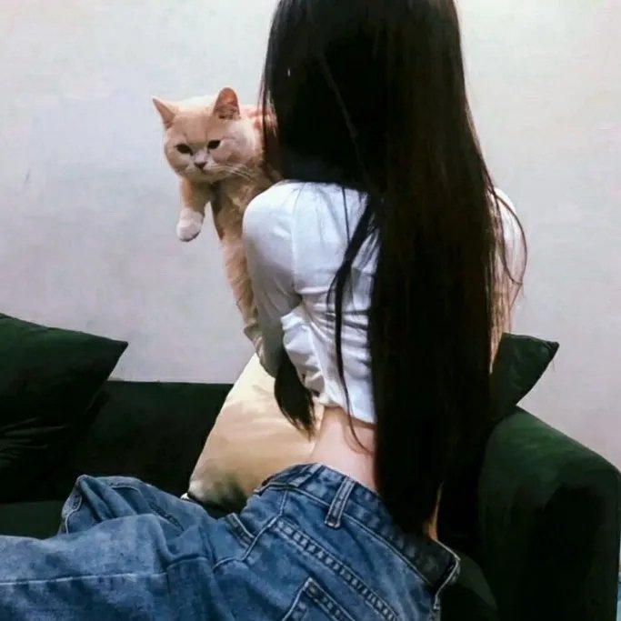 名刀美女丸